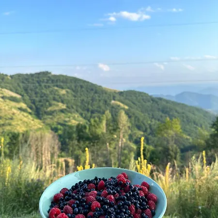 Dvori E11 Hilltop * Kopaonik