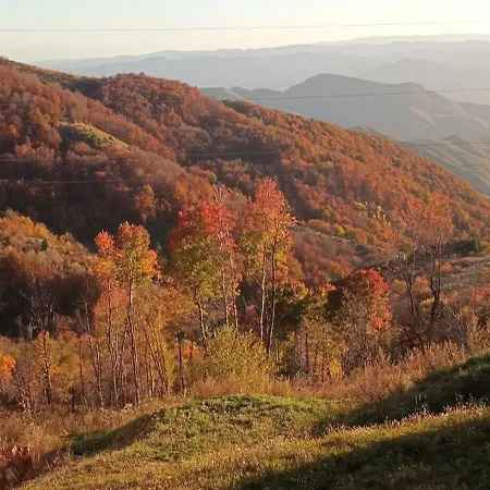 Apartman Dvori E11 Hilltop Kopaonik