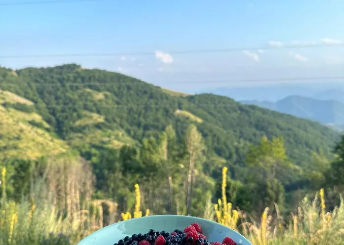 Dvori E11 Hilltop * Kopaonik