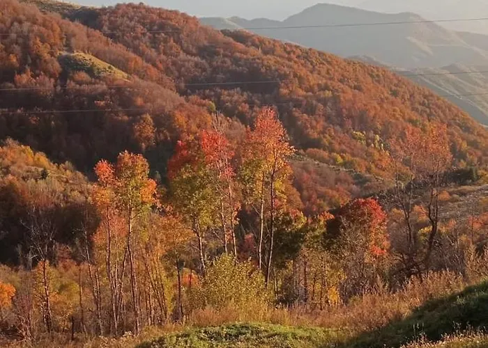 Daire Dvori E11 Hilltop Kopaonik